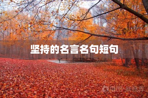 坚持的名言名句短句(坚持的名言八个字)