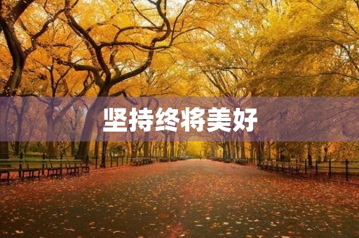 坚持终将美好