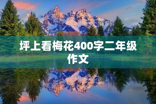 坪上看梅花400字二年级作文