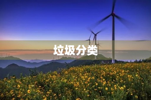 垃圾分类，从我做起