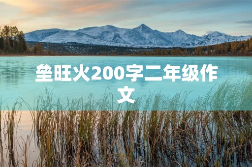 垒旺火200字二年级作文