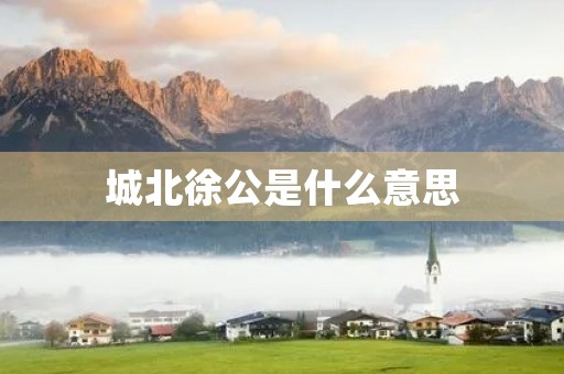 城北徐公是什么意思