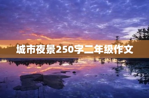 城市夜景250字二年级作文