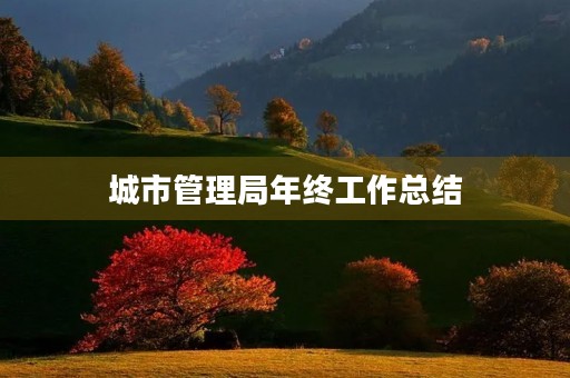 城市管理局年终工作总结
