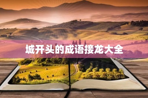 城开头的成语接龙大全