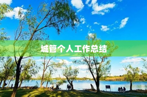 城管个人工作总结