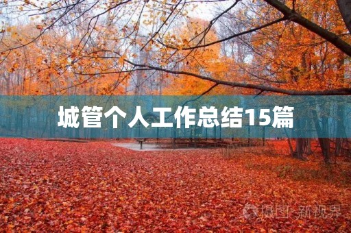 城管个人工作总结15篇 城管个人工作总结15篇