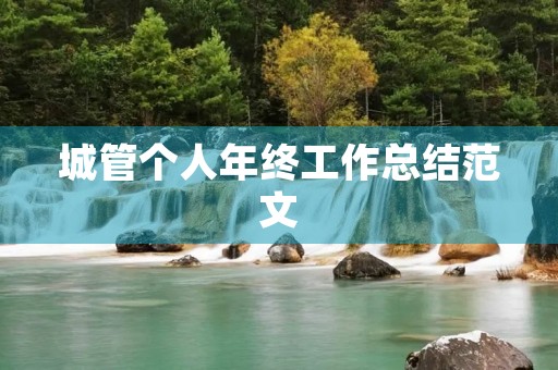 城管个人年终工作总结范文