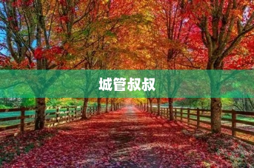 城管叔叔，我赞美你500字三年级作文