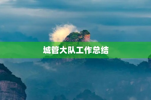 城管大队工作总结