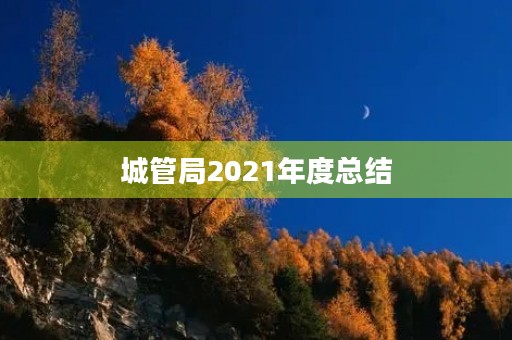 城管局2021年度总结