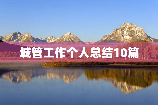 城管工作个人总结10篇