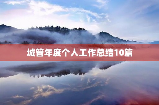 城管年度个人工作总结10篇