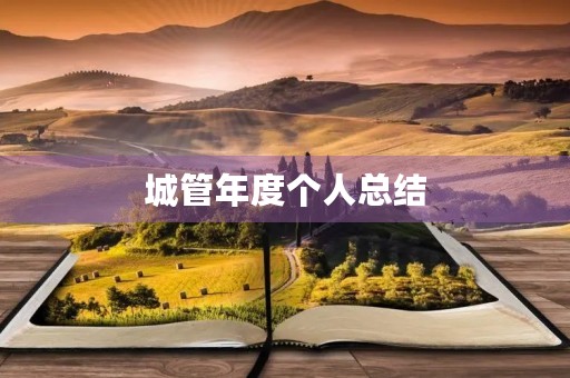 城管年度个人总结