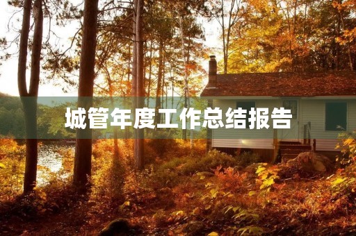城管年度工作总结报告 城管年度工作总结报告