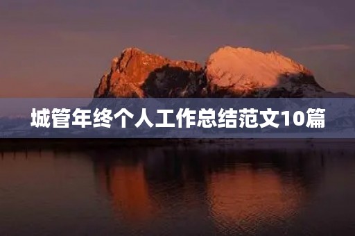 城管年终个人工作总结范文10篇
