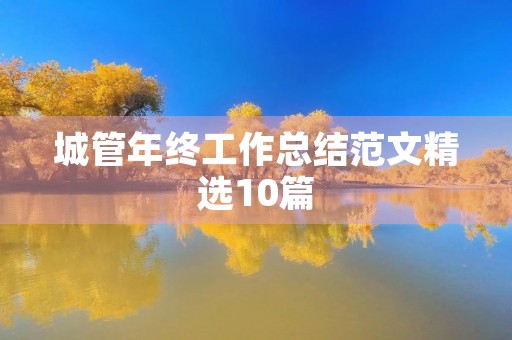 城管年终工作总结范文精选10篇