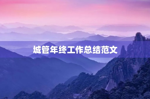 城管年终工作总结范文
