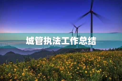 城管执法工作总结