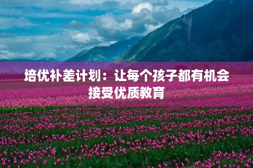 培优补差计划：让每个孩子都有机会接受优质教育