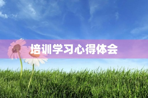 培训学习心得体会