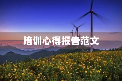 培训心得报告范文
