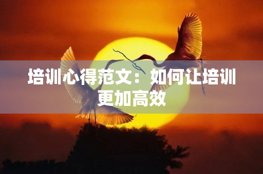 培训心得范文:如何让培训更加高效