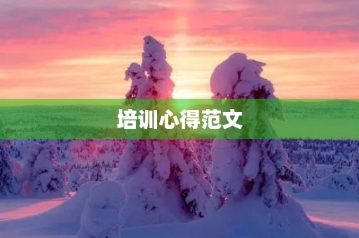 培训心得范文