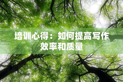 培训心得:如何提高写作效率和质量