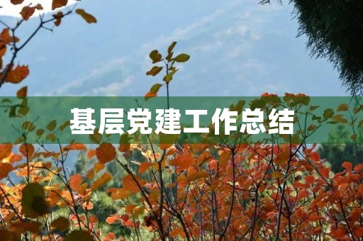 基层党建工作总结 基层党建工作总结
