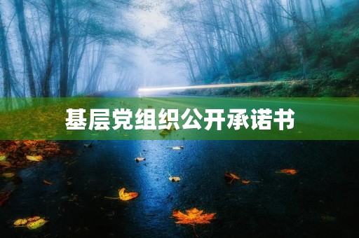 基层党组织公开承诺书 基层党组织公开承诺书