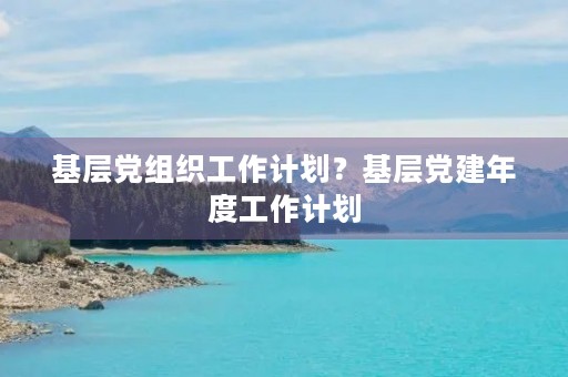基层党组织工作计划？基层党建年度工作计划