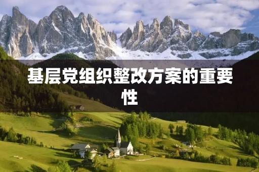 基层党组织整改方案的重要性 基层党组织整改方案的重要性