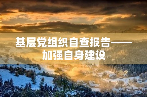 基层党组织自查报告——加强自身建设，推进全面从严治党