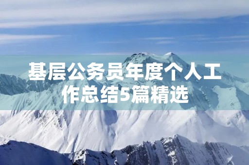 基层公务员年度个人工作总结5篇精选
