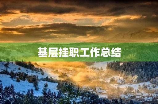 基层挂职工作总结 基层挂职工作总结
