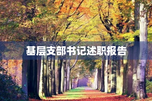 基层支部书记述职报告(党支部书记个人述职报告)