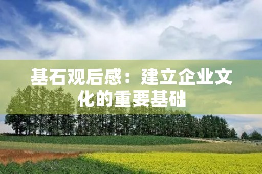 基石观后感：建立企业文化的重要基础