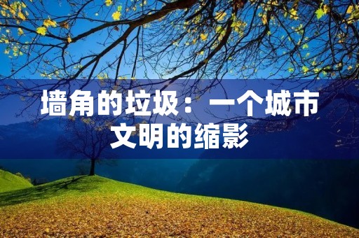 墙角的垃圾：一个城市文明的缩影