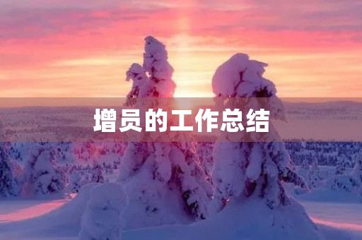 增员的工作总结