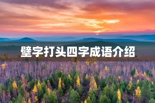 壁字打头四字成语介绍