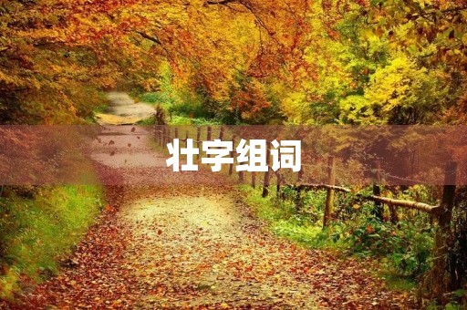 壮字组词(壮的组词)