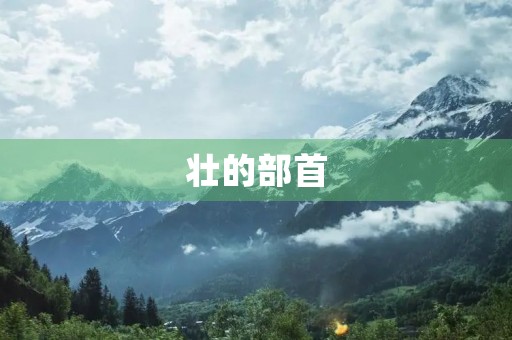 壮的部首(壮的偏旁叫什么名字)