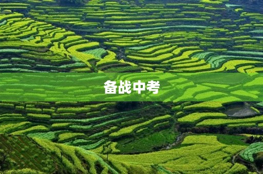 备战中考,让我们一起努力 备战中考,让我们一起努力