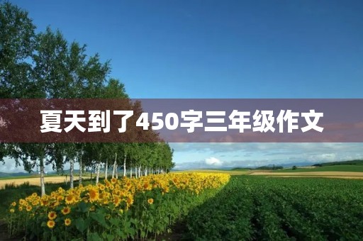 夏天到了450字三年级作文