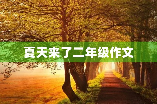 夏天来了二年级作文