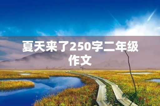 夏天来了250字二年级作文