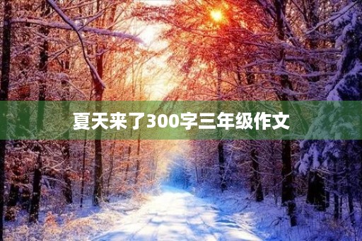 夏天来了300字三年级作文