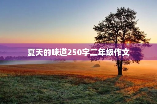 夏天的味道250字二年级作文