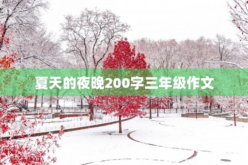 夏天的夜晚200字三年级作文